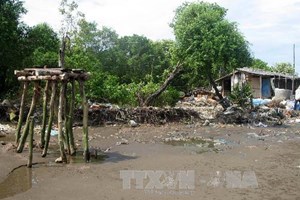 Tiền Giang chủ động di dời dân khỏi vùng sạt lở nghiêm trọng
